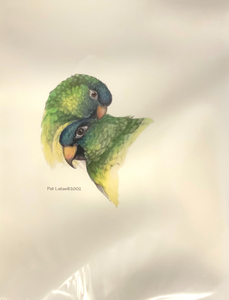 Blue Crown Parakeets Print by Pat Latas DVM