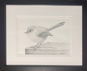 The Fluffiest Wren