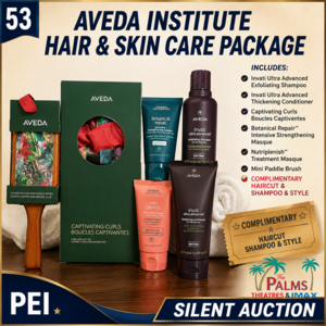 Aveda Hair and Skin Care Treatment Package