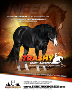Trashy Boy Lena by INFERNO 66