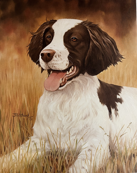 American Brittany Rescue