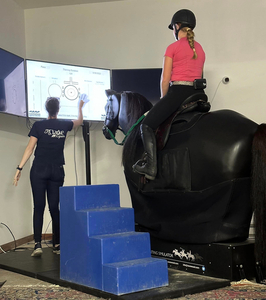 Riding Simulator Lesson on (Kintnersville, PA)