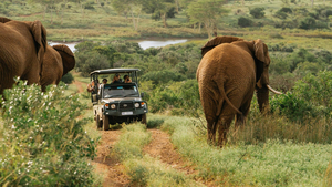 South Africa Photo Safari for 2
