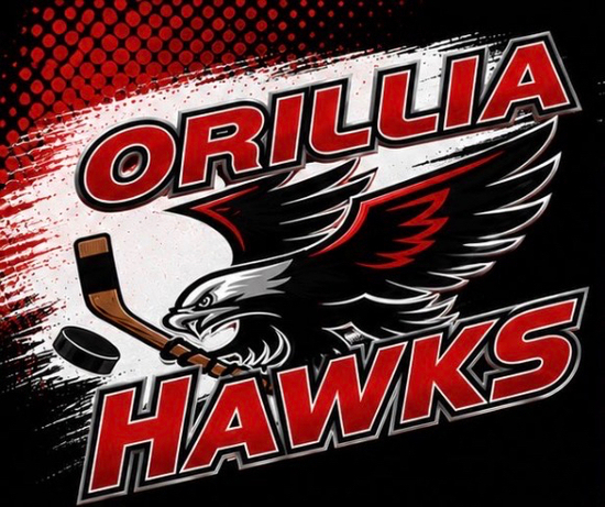 Orillia Hawks U15A Girls Hockey Team Auction