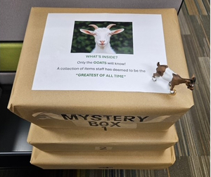 The GOAT Mystery Box