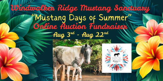 Windwalker Ridge Mustang Sanctuary
