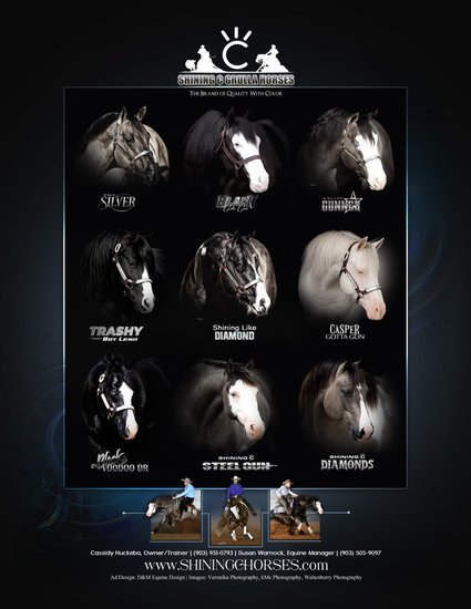 Shining C Grulla Horses