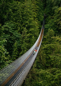 Capilano Suspension Bridge Tickets (4)