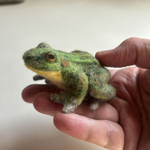 Little Wool Felted Frog on a Rock