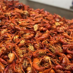 Crawfish Boil for 10