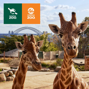 Bid on a Roaring Good Time at Taronga Zoo