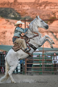 Private Group Riding or Liberty Clinic