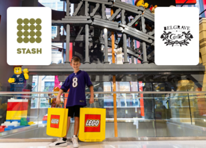 LIVE AUCTION ONLY: VIP LEGO experience
