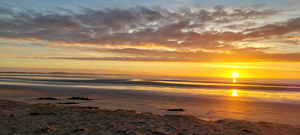 The Great South Mystery Beach Getaway