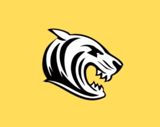 Rochester Football Netball Club