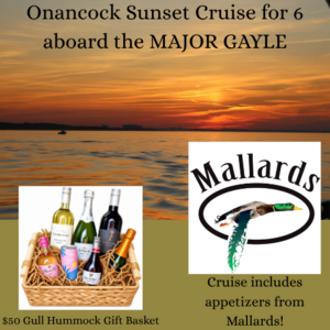 Sunset Cruise for 6 on the Onancock Creek w/Apps