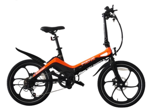 01 - Raffle #1 -Blaupunkt Fiene Electric Bicycle