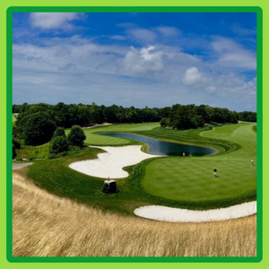 Golf Foursome at The Cape Club