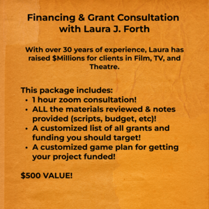 #13 - Financing & Grant Consultation