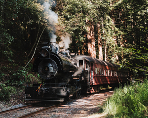 All Aboard the World Famous Skunk Train!