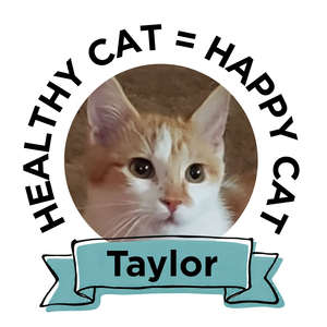 Sponsor a Rabies Vaccine