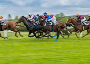 Kentucky Derby Experience 2027
