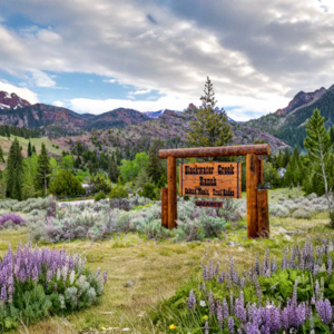 Trip for Two to Blackwater Creek Ranch, WY
