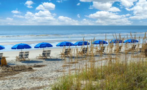 Escape to Hilton Head