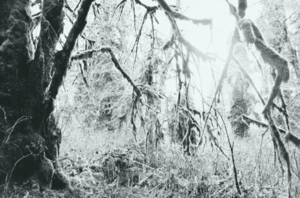 Watershed by Elizabeth Walker, 2016
