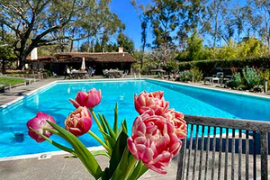 Body Flows Sonoma Weekend Yoga 2027