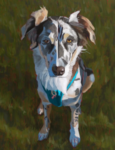 Custom Oil Pet Portrait