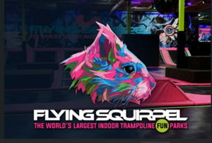Flying Squirrel Victoria