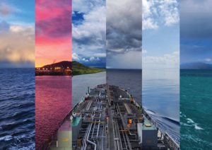 The Ocean Canvas​