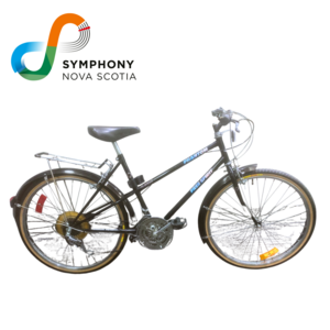 Georg Tintner's Bicycle