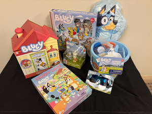 Bluey Basket