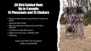 Guided Bird Hunt