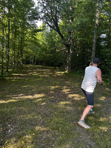 18 Holes Disc Golf for 4