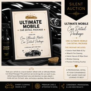 Ultimate Mobile Car Detail