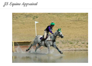 Equine Appraisal