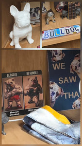Bulldog Spirit Decor Bundle