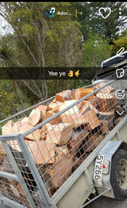Load of Firewood - Kanuka and Totara mix