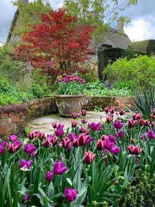 Garden Wisdom Landscape Assessment