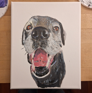 Pet Portrait