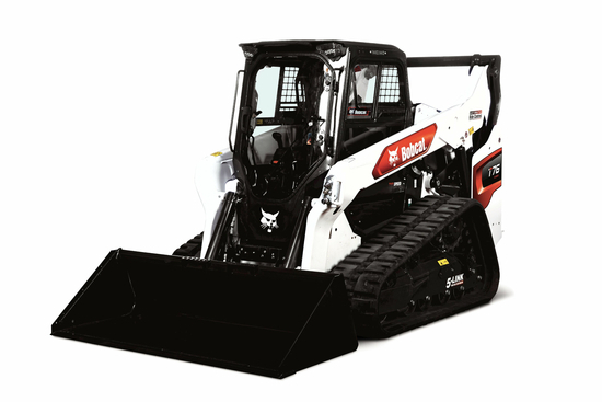 Bobcat