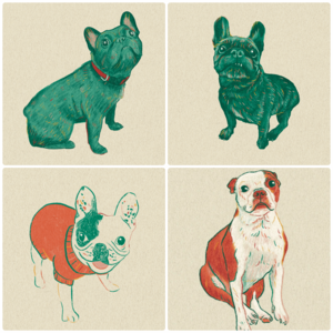 Custom Digital pet portrait by @emmireid_design