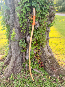 Go Big Orange Hiking Stick