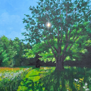 Sun Light Through the Tree