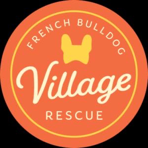 French Bulldog Village