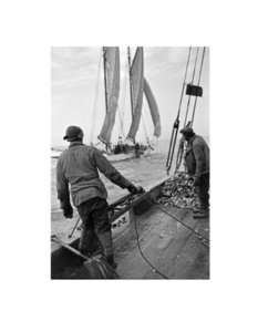 Working Watermen