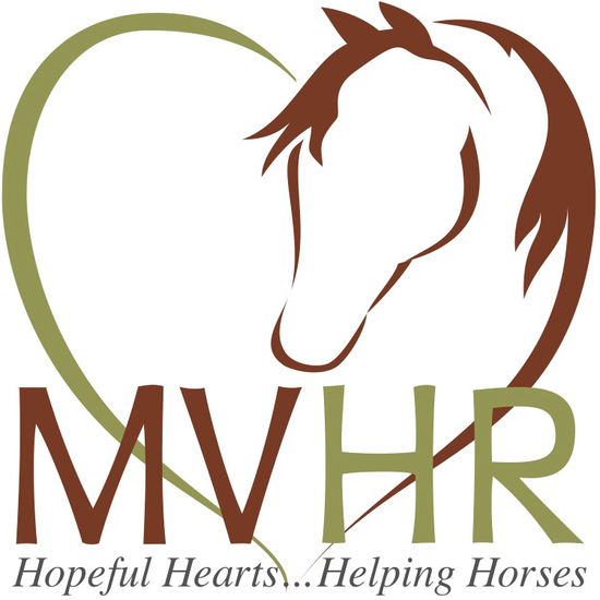 Mountain Valley Horse Rescue
